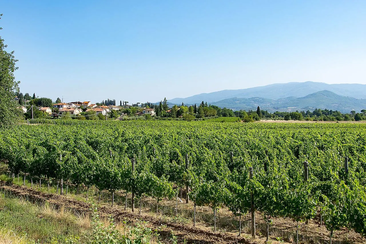 Agriturismo Albergotti Arezzo 0*,
